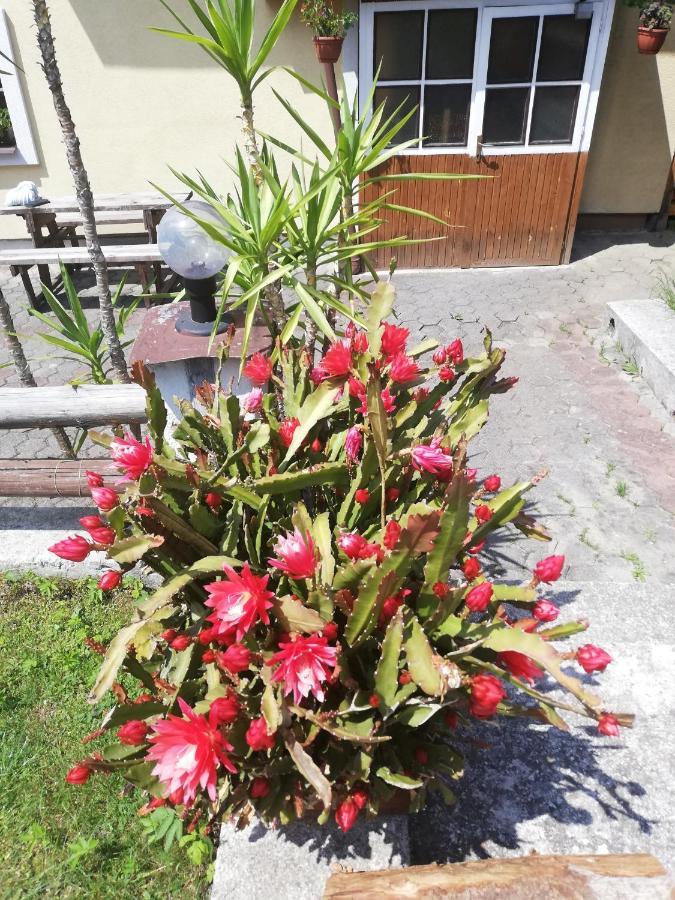 Penzión Baltazár Lúzsna Kültér fotó